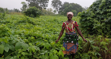 01e7055f28af48970f9a900e2486632107a4a5a3