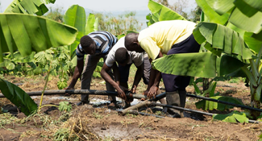 042a7d95ce8b4651f68c0f35a7630c7772f1acd3