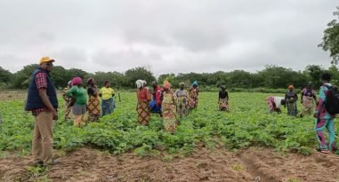 WhatsApp Image 2025-08-25 at 10.33.13 (2)