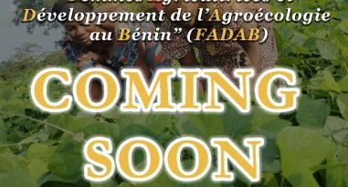 WhatsApp Image 2025-10-30 at 12.33.01_9a2f22de